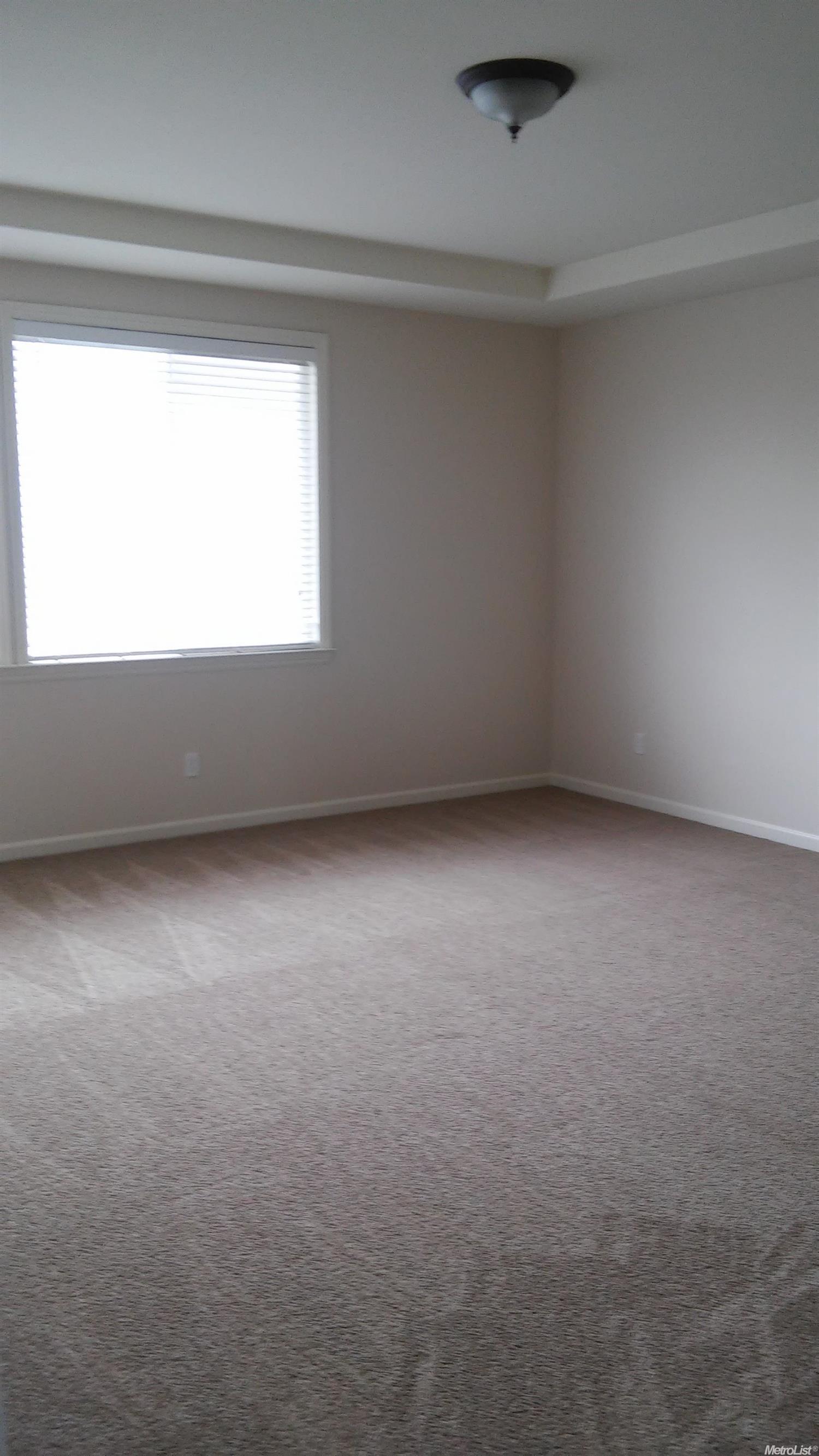 113 W Colony Rd, Ripon, CA 95366 photo 14