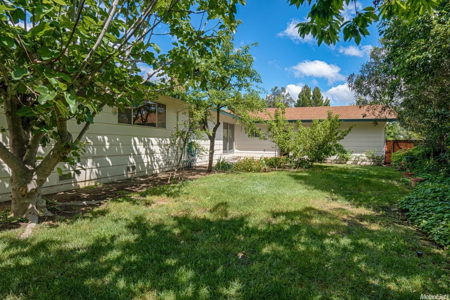 424 Scripps Dr, Davis, CA 95616 photo 24