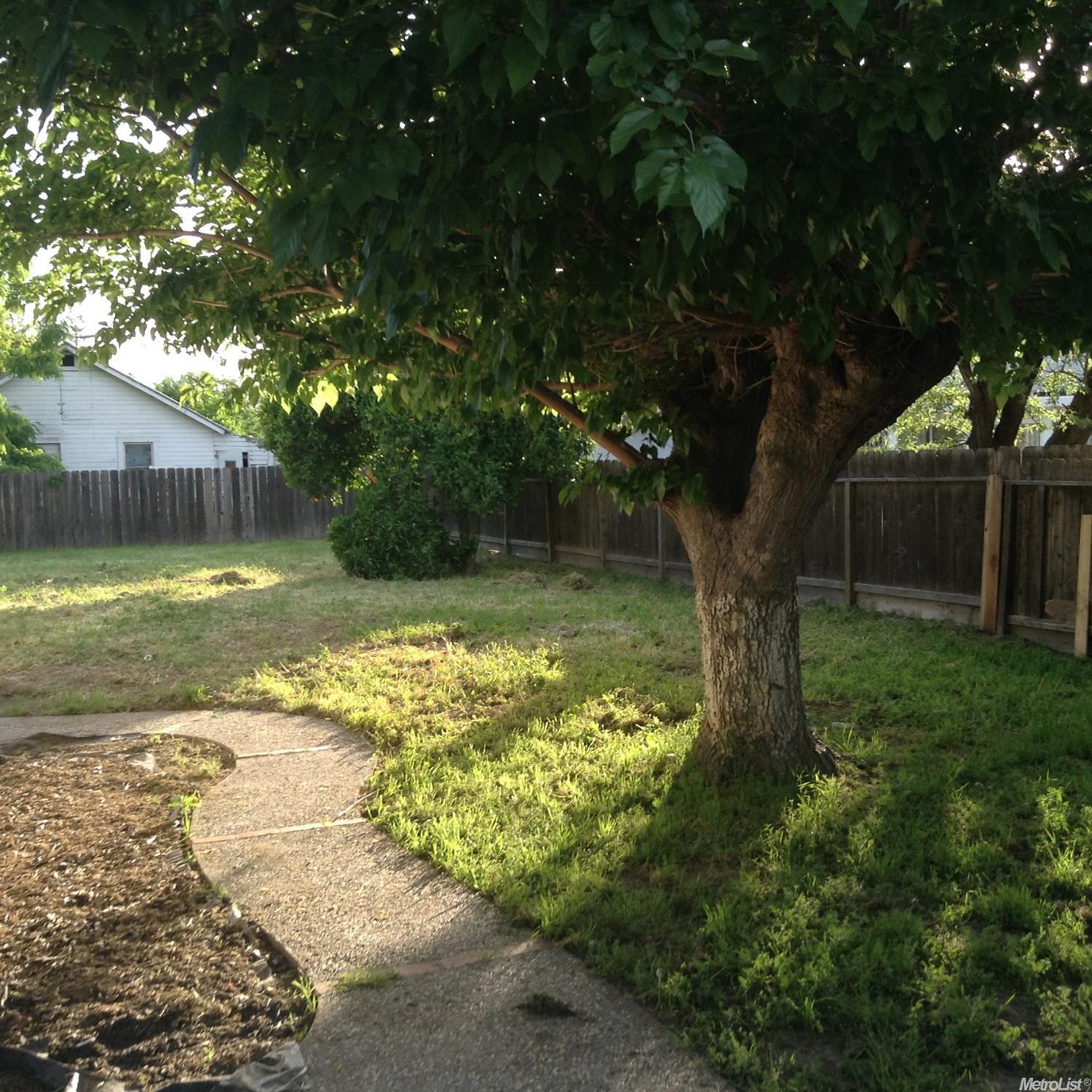 4907 Sequoia St, Salida, CA 95368 photo 7