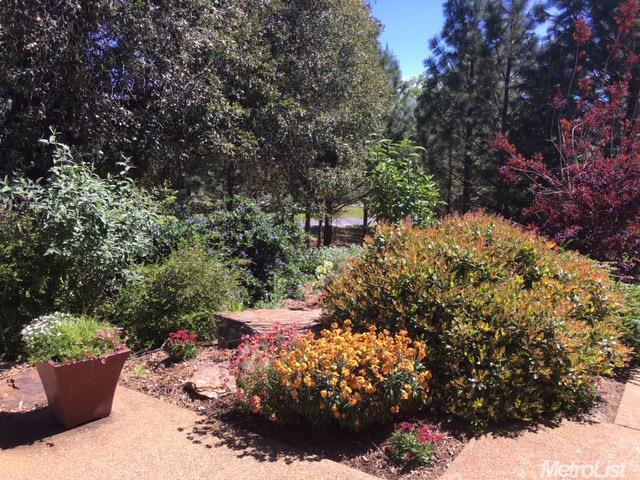 19761 Bennett Ranch Ct, Jackson, CA 95642 photo 3