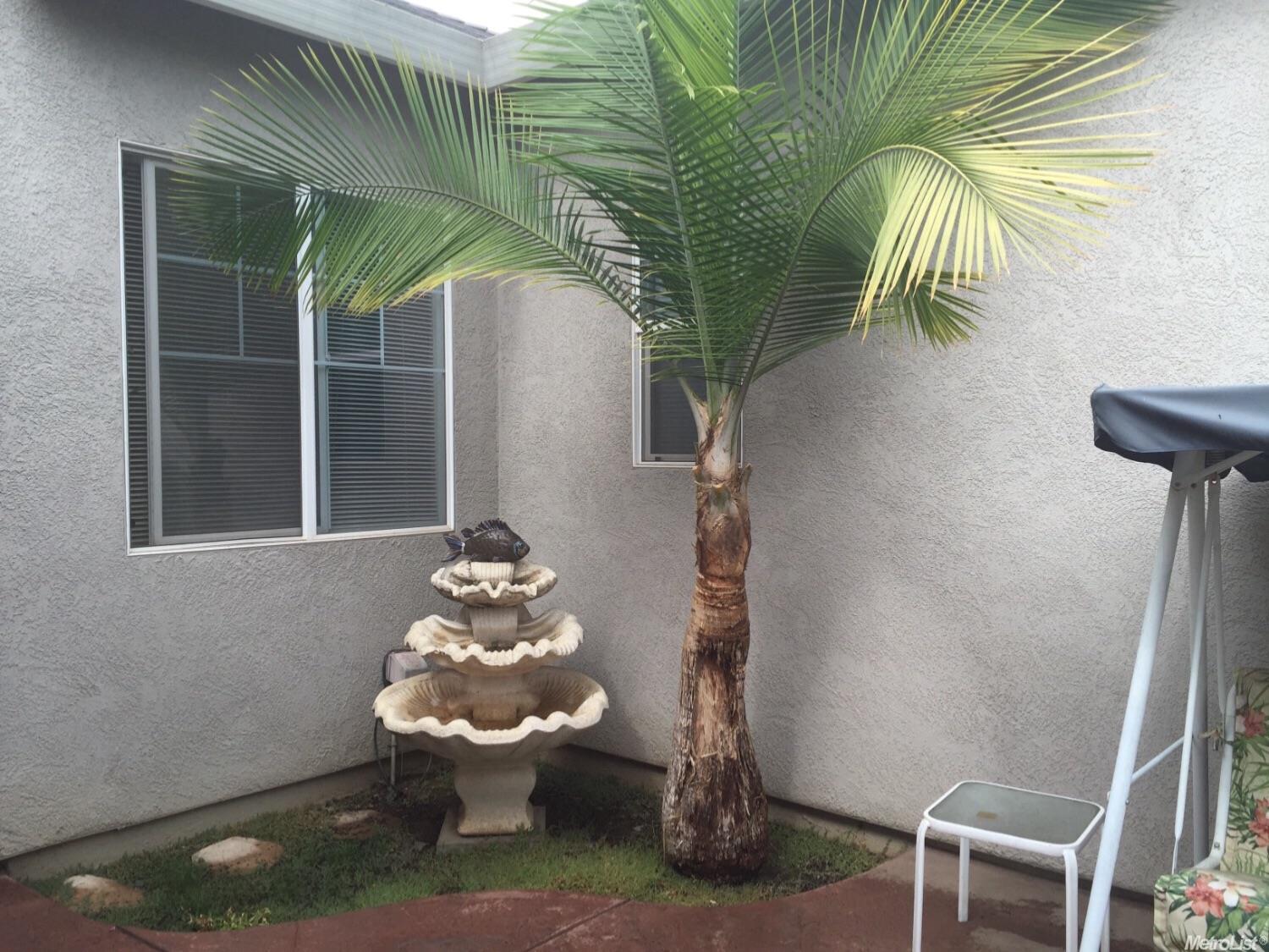 1535 N Ripon Rd, Ripon, CA 95366 photo 5