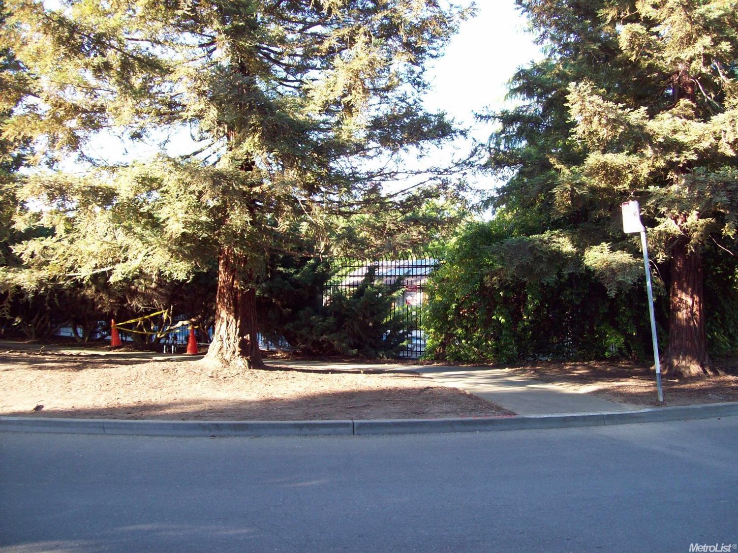 1839 Fremont Ct #1, Davis, CA 95618 photo 3