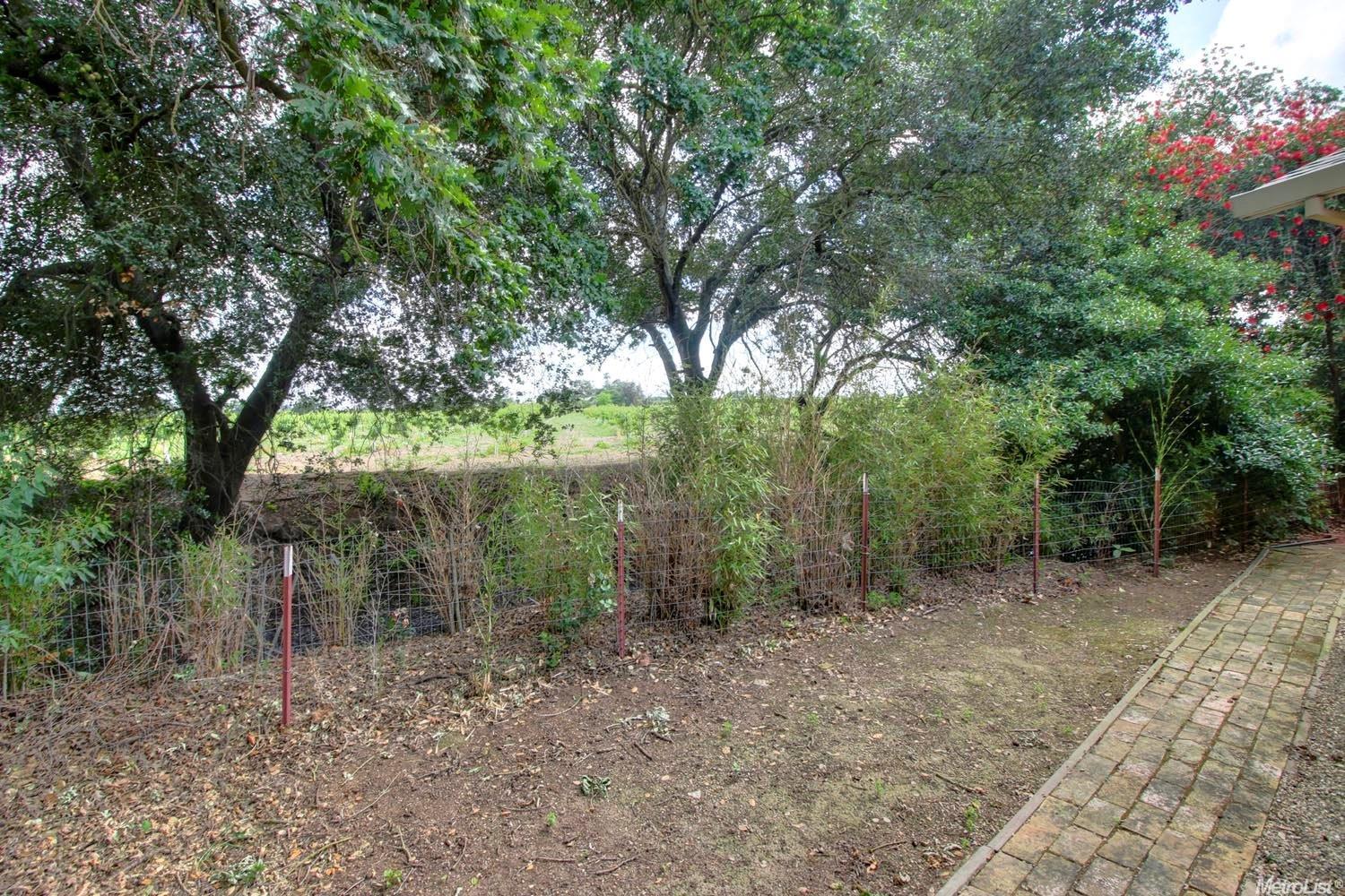 4744 E Live Oak Rd, Lodi, CA 95240 photo 18