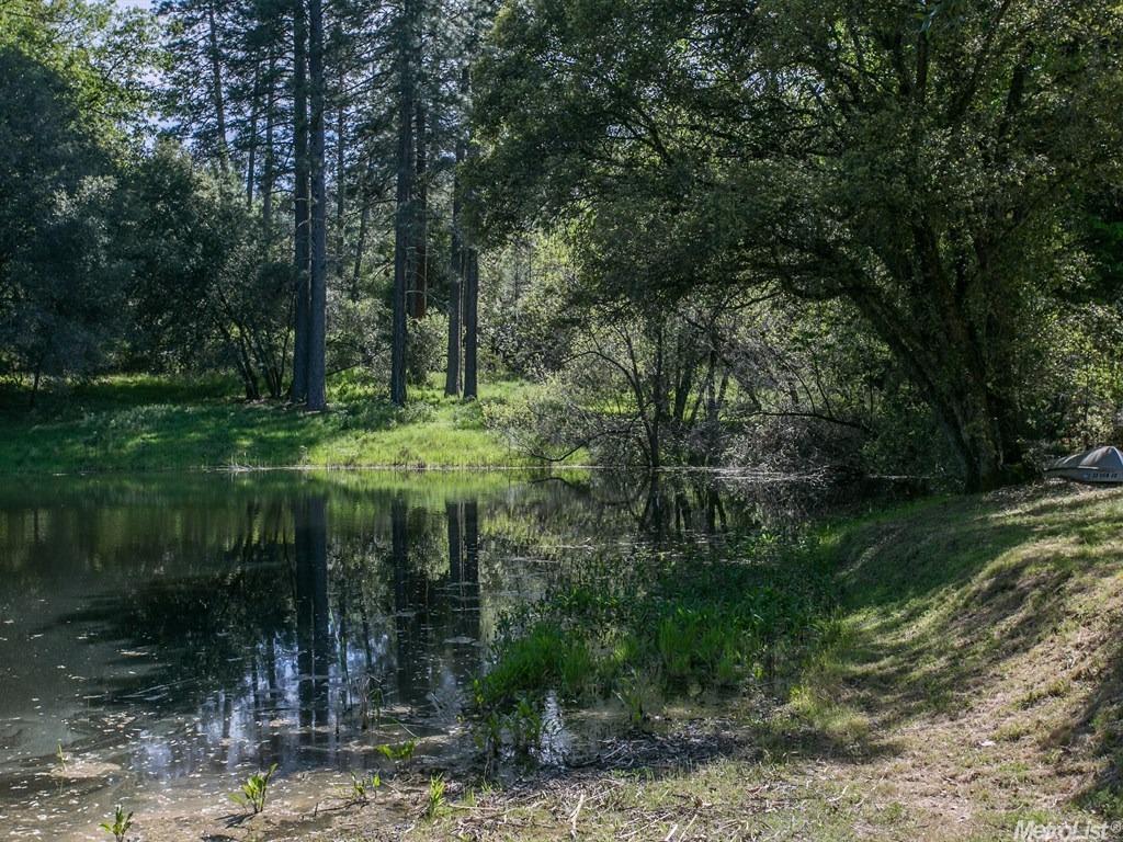 7046 Nutmeg Ln, Placerville, CA 95667 photo 23