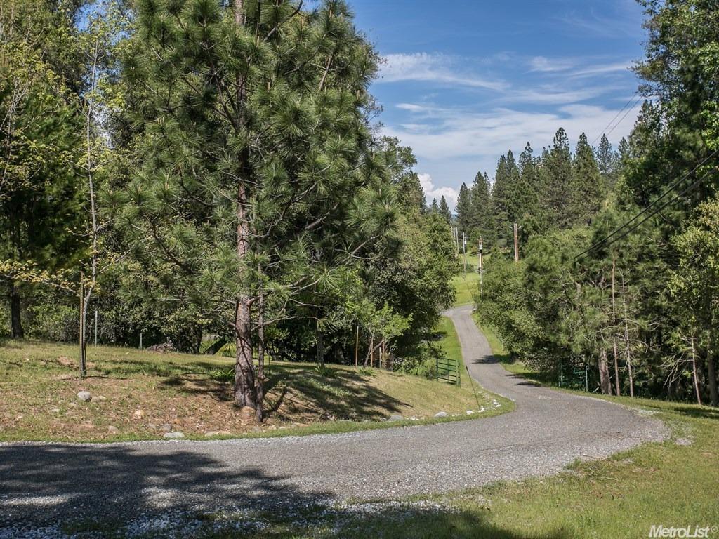 7046 Nutmeg Ln, Placerville, CA 95667 photo 4