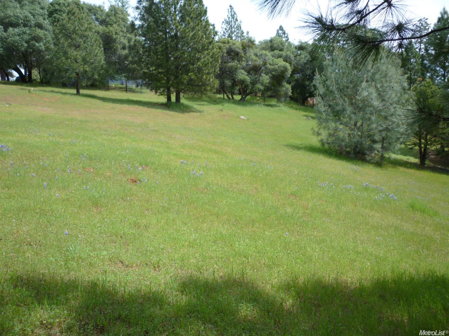 2678 Brown Bear Ct, Cool, CA 95614 photo 24
