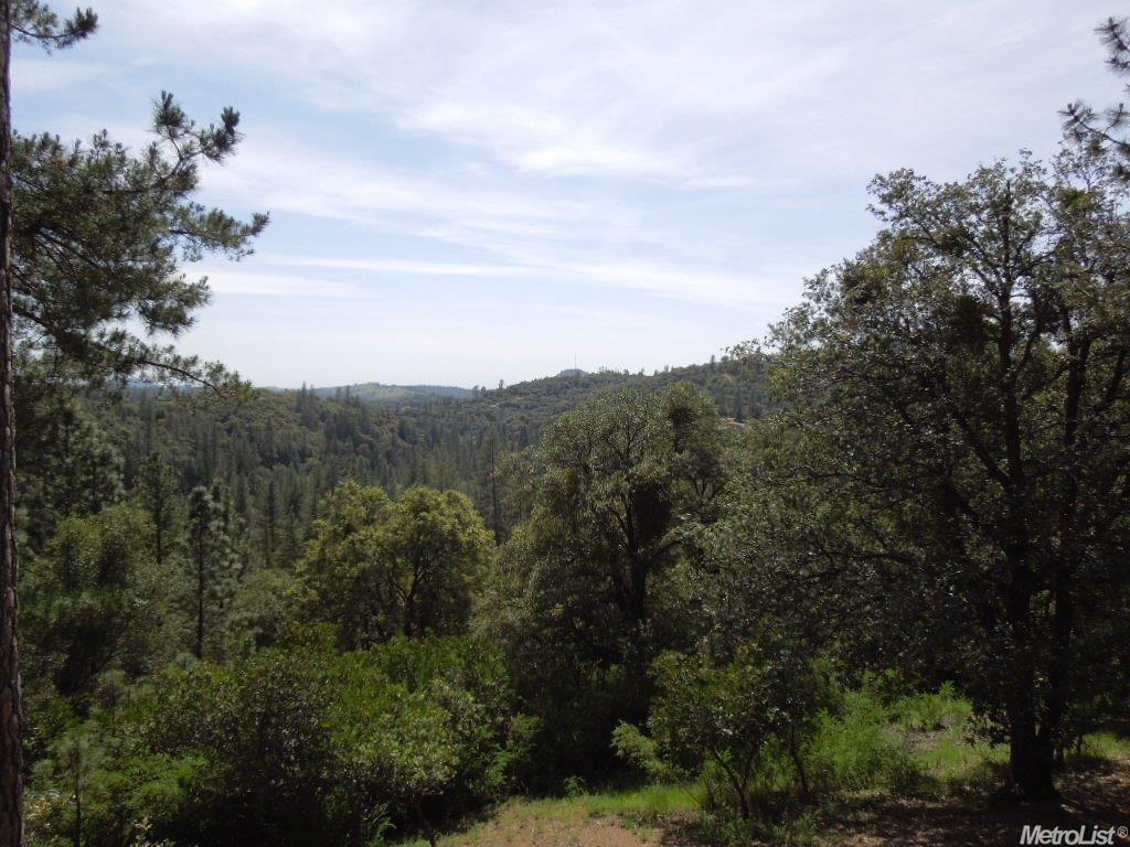 19777 Meadowood, Jackson, CA 95642 photo 19
