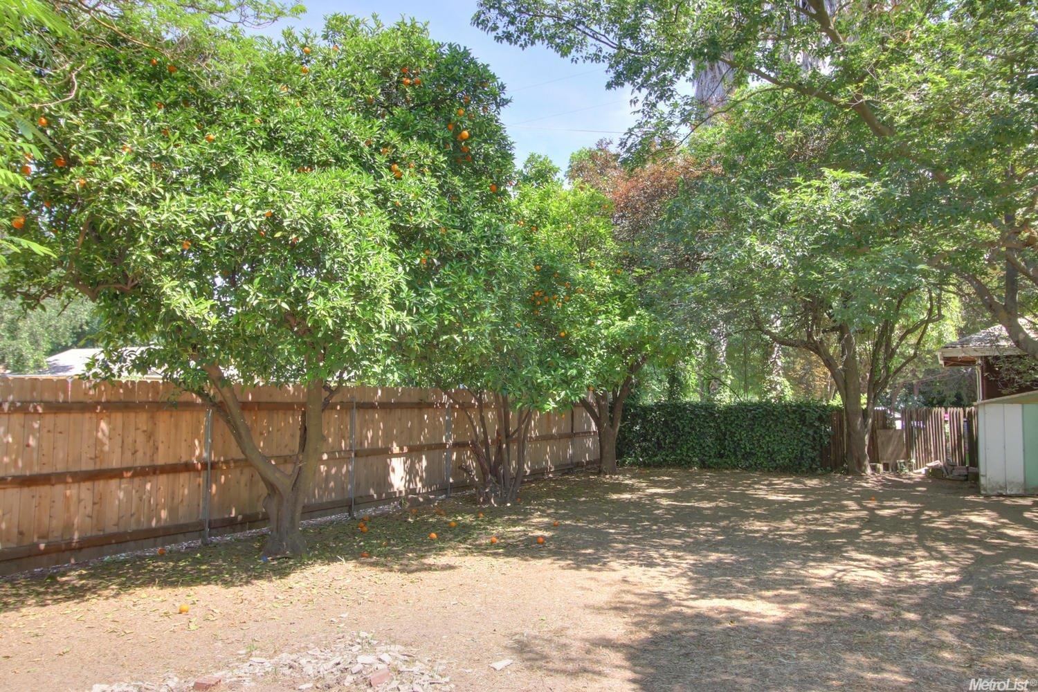 852 L St, Davis, CA 95616 photo 21