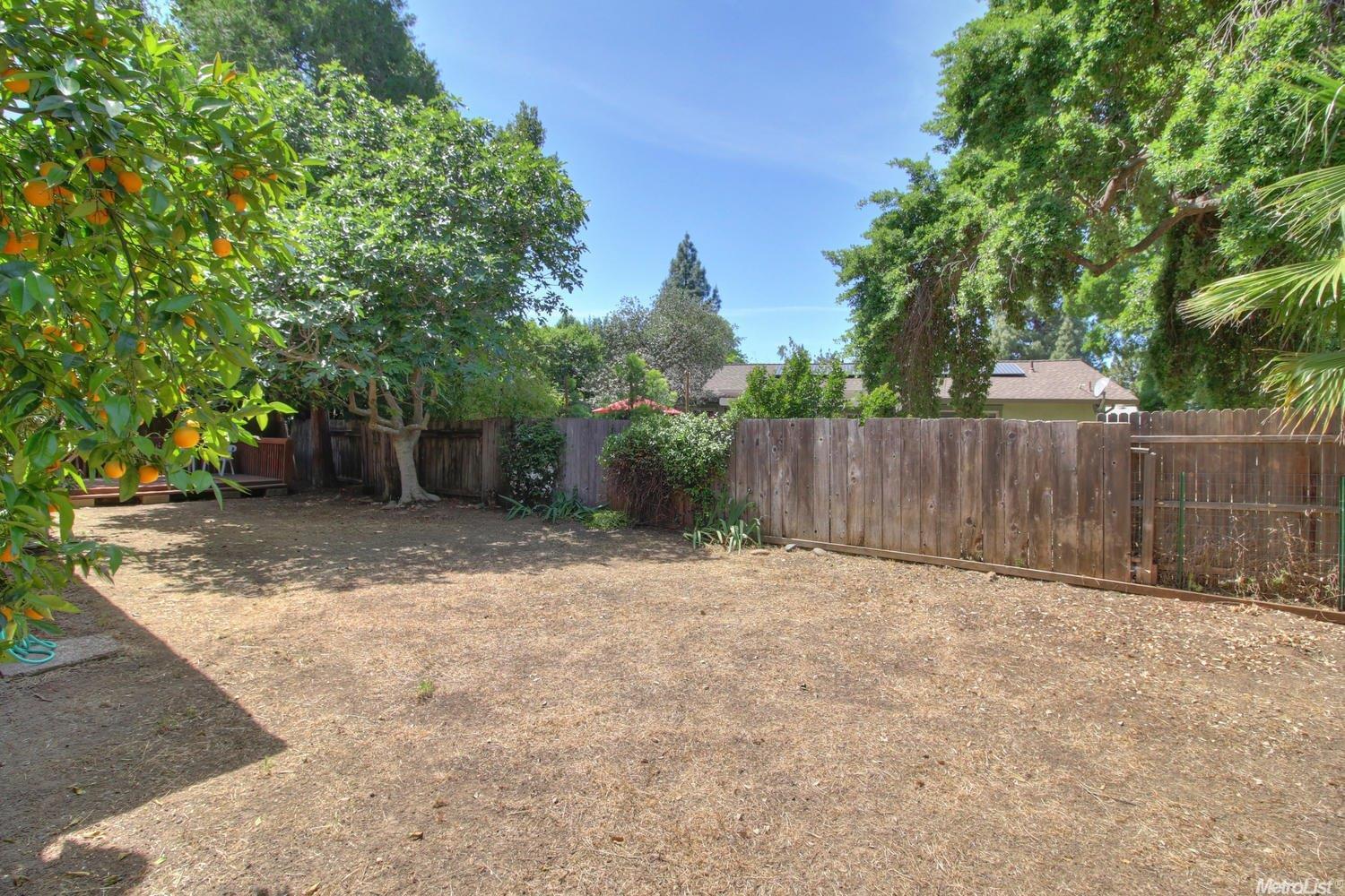 1331 Camphor Ln, Davis, CA 95618 photo 20
