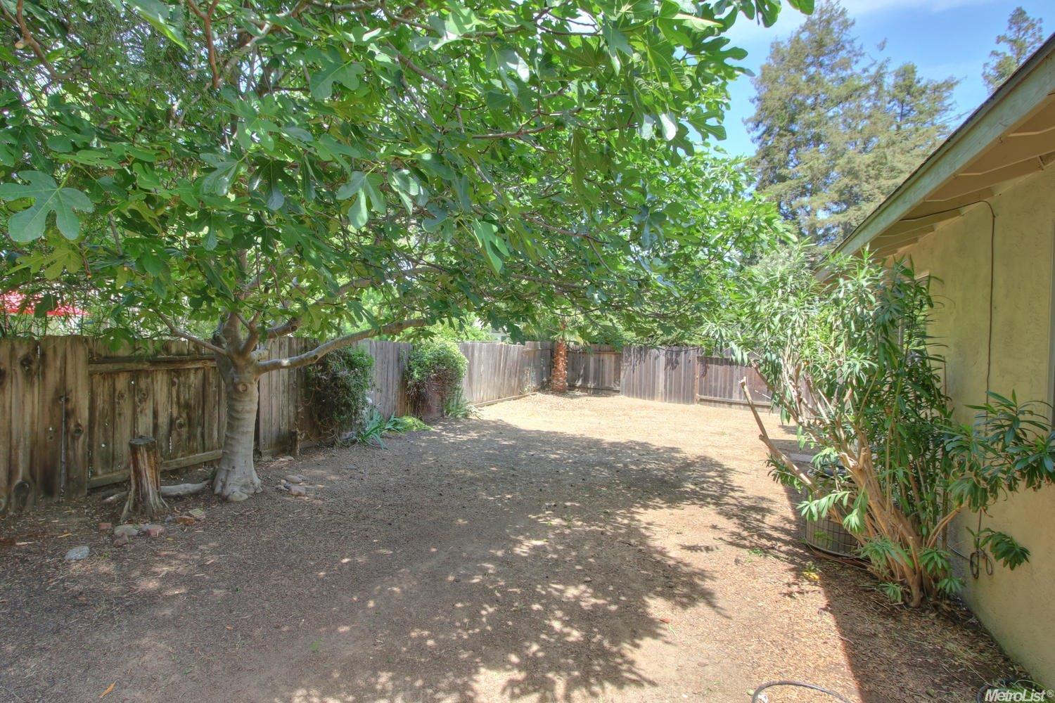 1331 Camphor Ln, Davis, CA 95618 photo 18