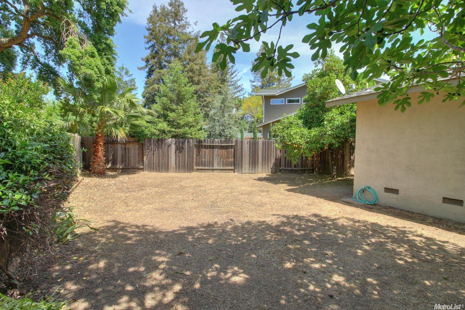 1331 Camphor Ln, Davis, CA 95618 photo 19