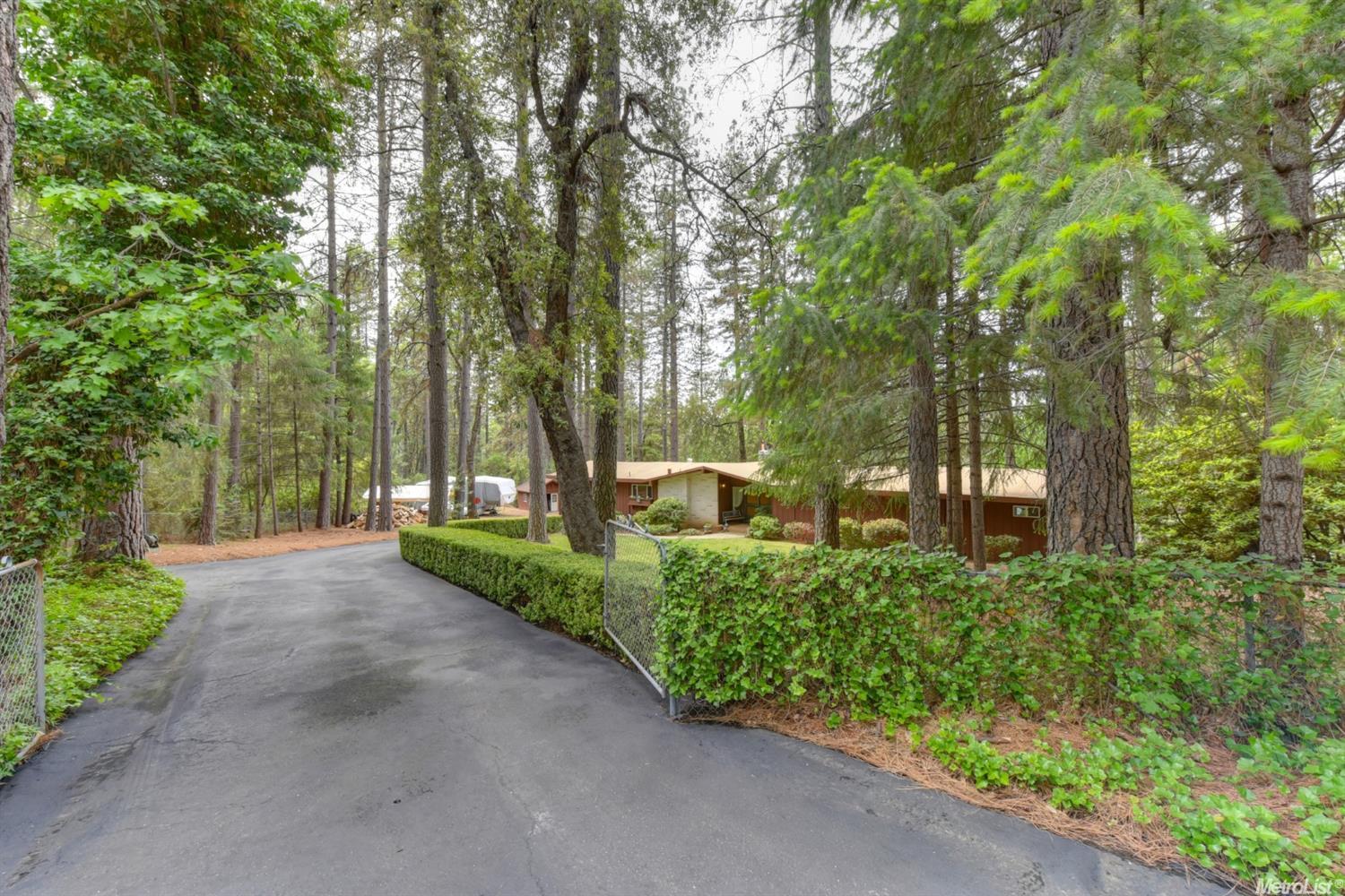 890 Pine Forest Rd, Colfax, CA 95713 photo 15
