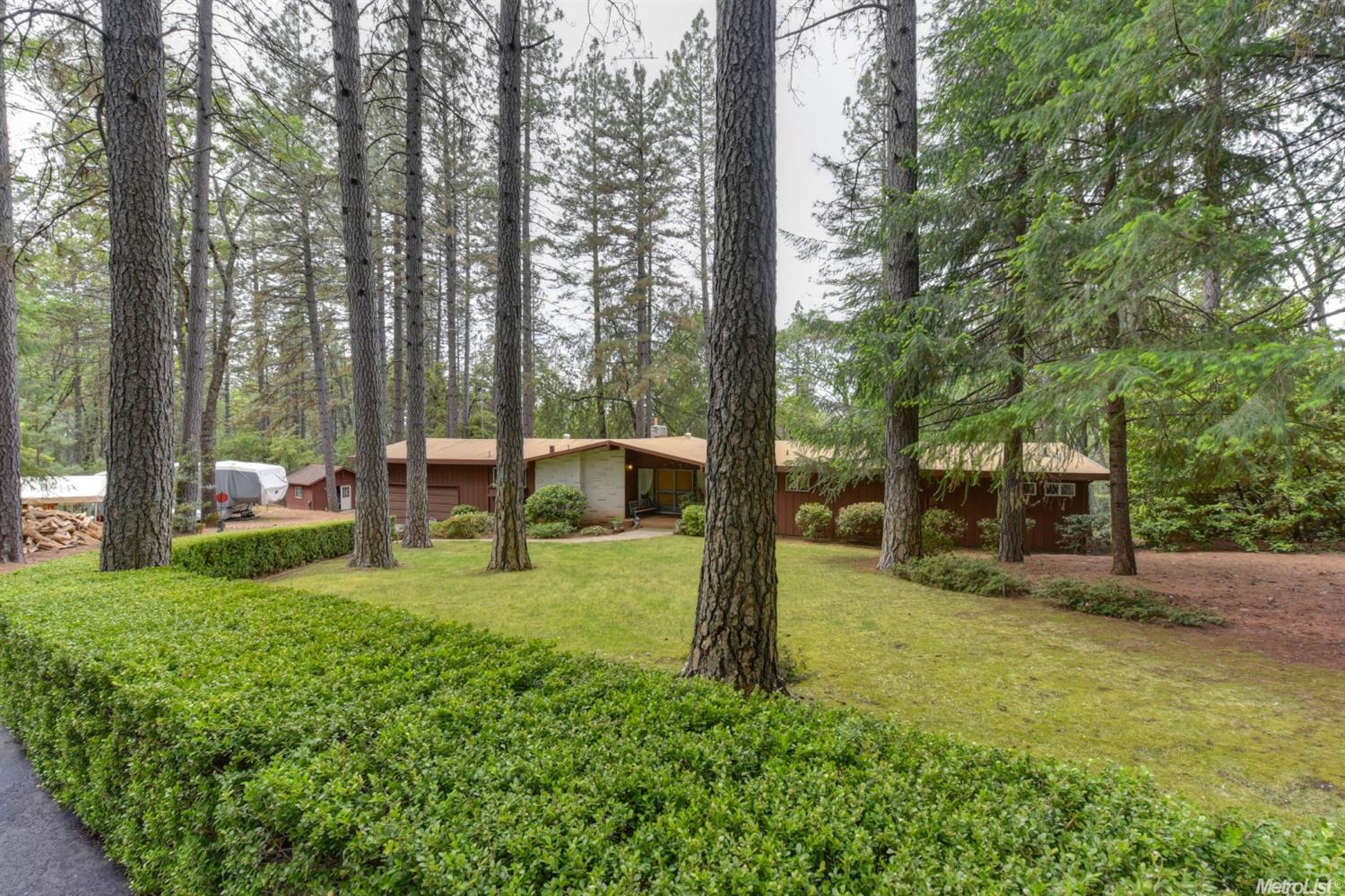 890 Pine Forest Rd, Colfax, CA 95713 photo 14