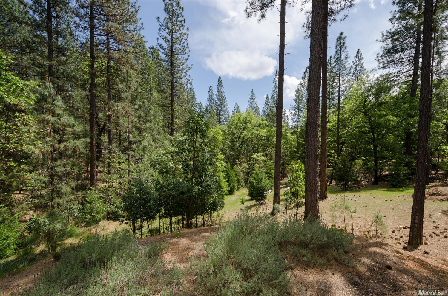 3778 Stope Dr, Placerville, CA 95667 photo 15
