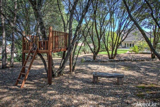2436 Chantrelle Ct, Placerville, CA 95667 photo 23