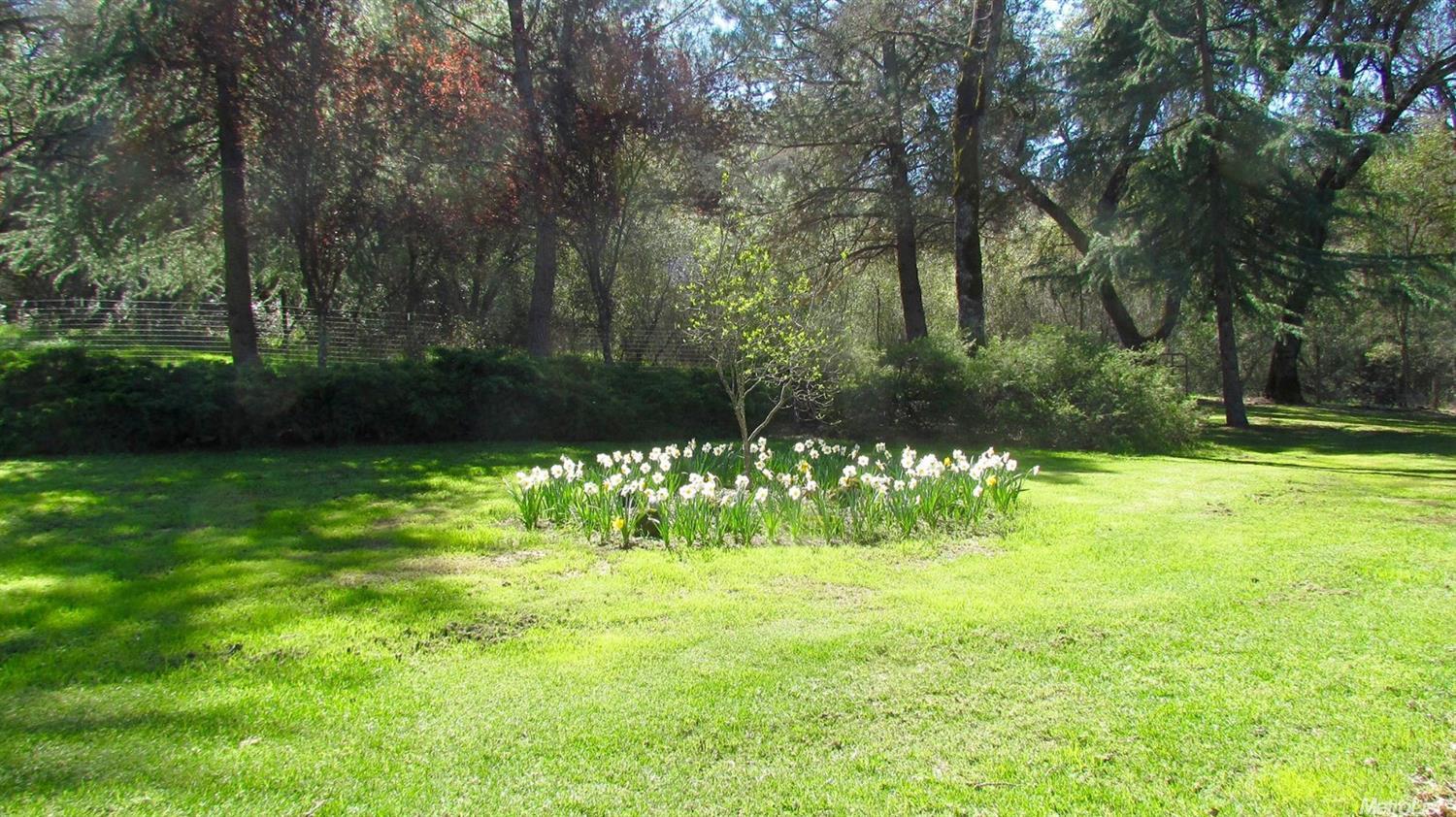 14006 Perimeter, Grass Valley, CA 95949 photo 22
