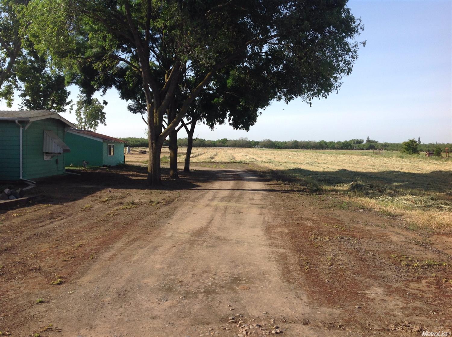 29396 Orange Ave, Escalon, CA 95320 photo 3
