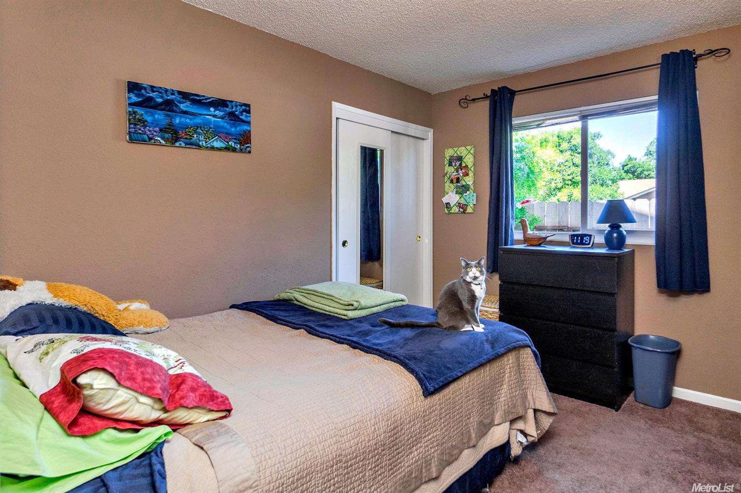 1419 Garrison St, Davis, CA 95616 photo 10