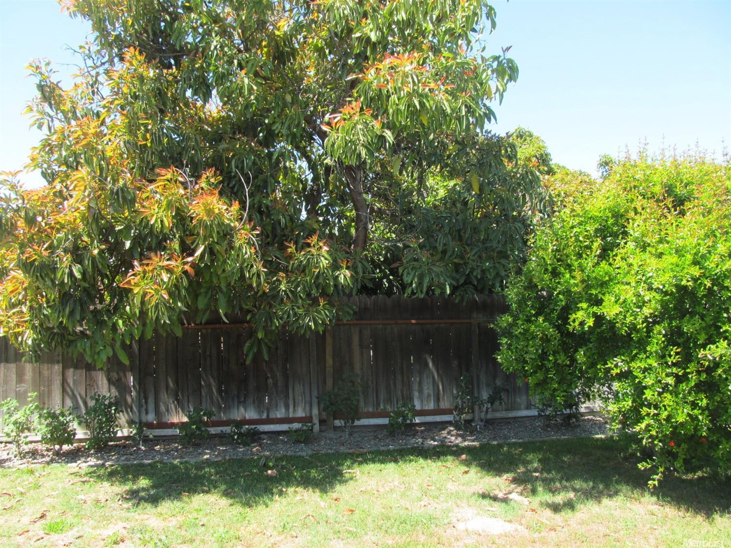 2120 Rochelle Ave, Turlock, CA 95382 photo 16