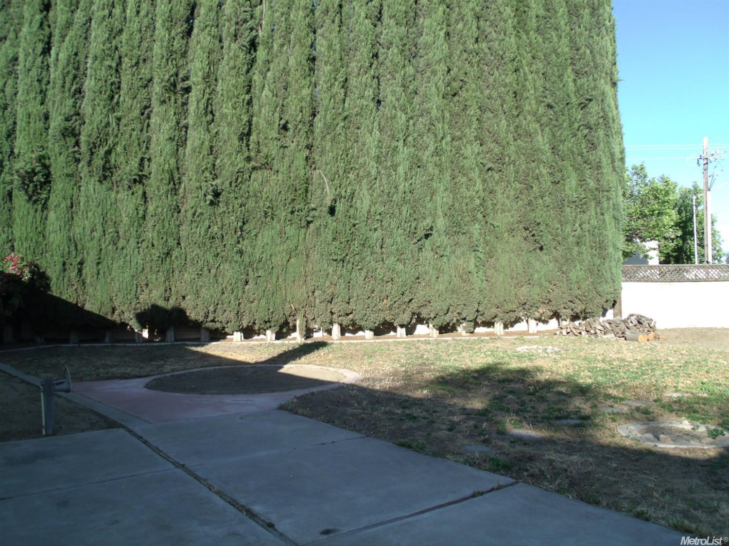 540 Winston Ct, Tracy, CA 95376 photo 14