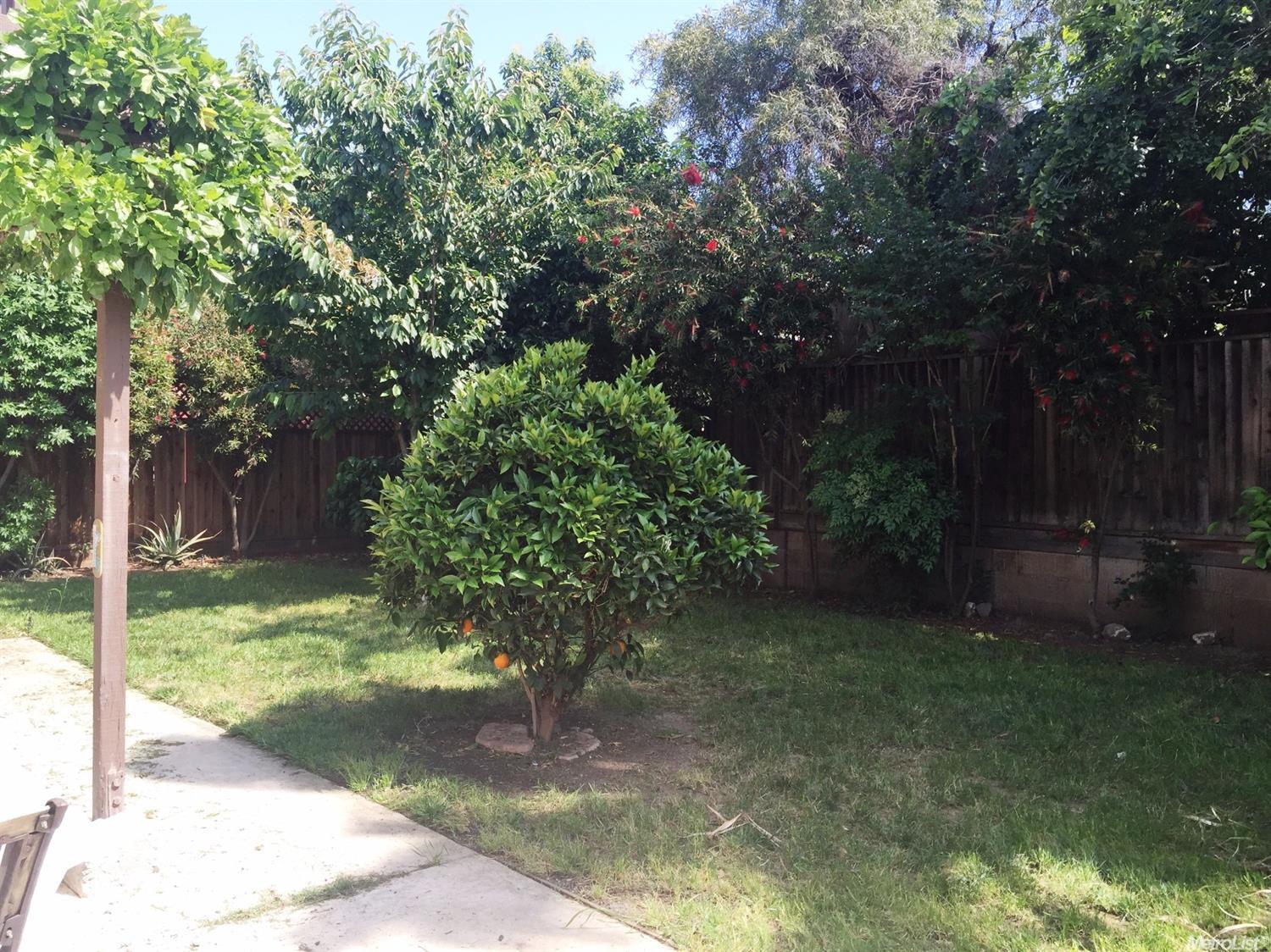 1368 Jonathan Pl, Tracy, CA 95377 photo 22