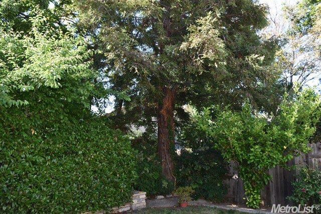 5724 Cobblestone Dr, Rocklin, CA 95765 photo 23