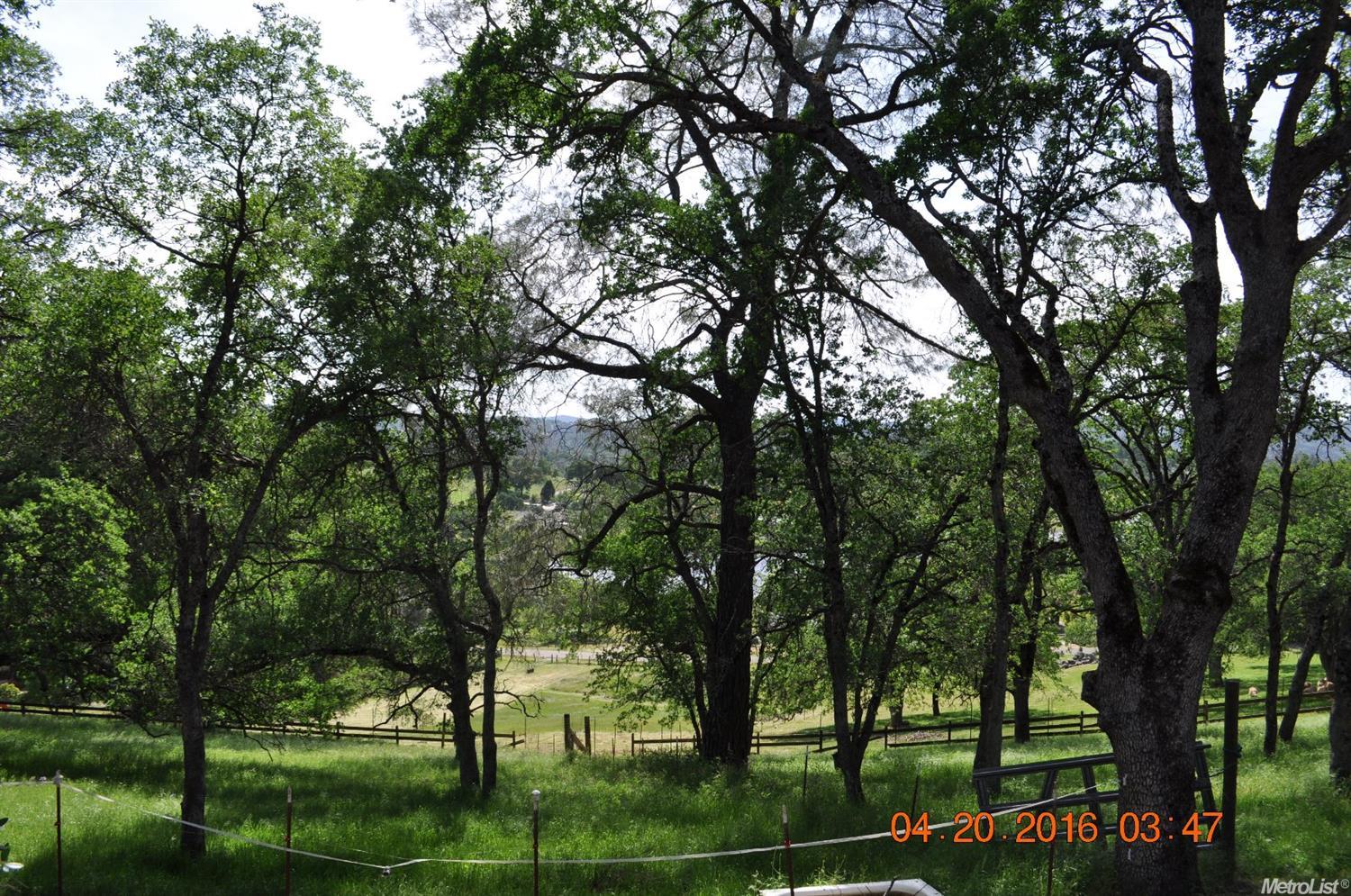 4620 Hawk Hill Rd, Placerville, CA 95667 photo 25