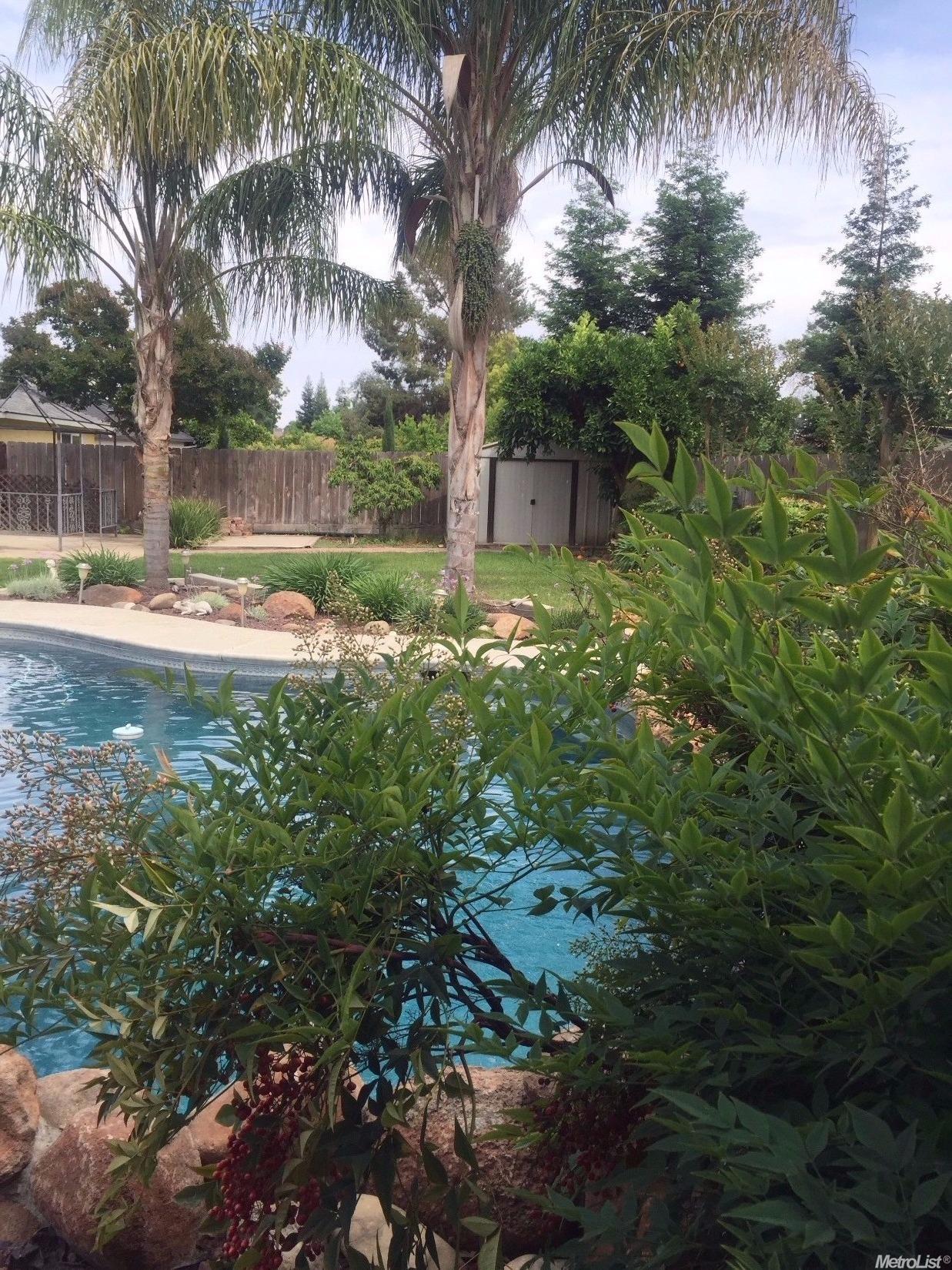 546 W Donna Dr, Merced, CA 95348 photo 8