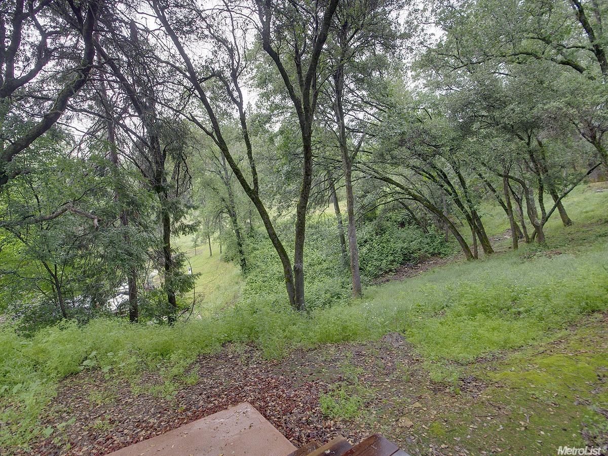 867 Green St, Placerville, CA 95667 photo 21