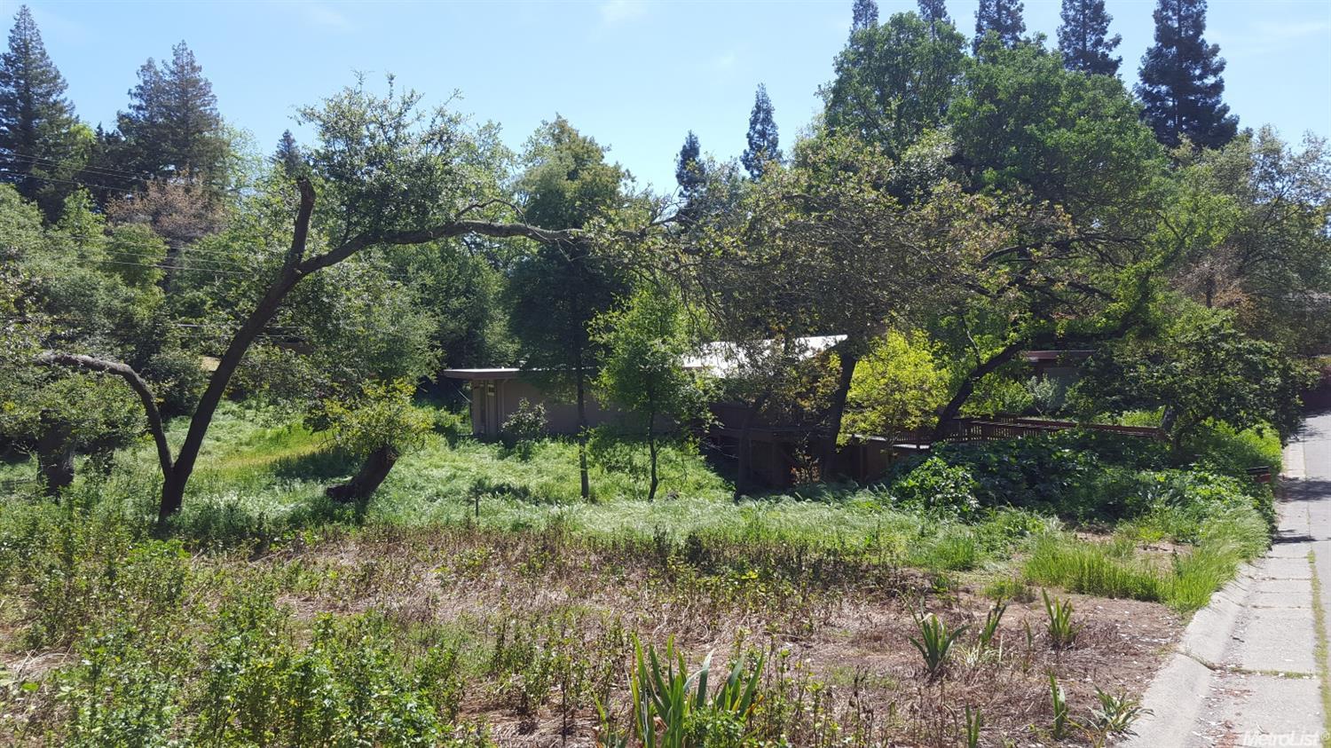 7365 Nob Hill Dr, Carmichael, CA 95608 photo 2