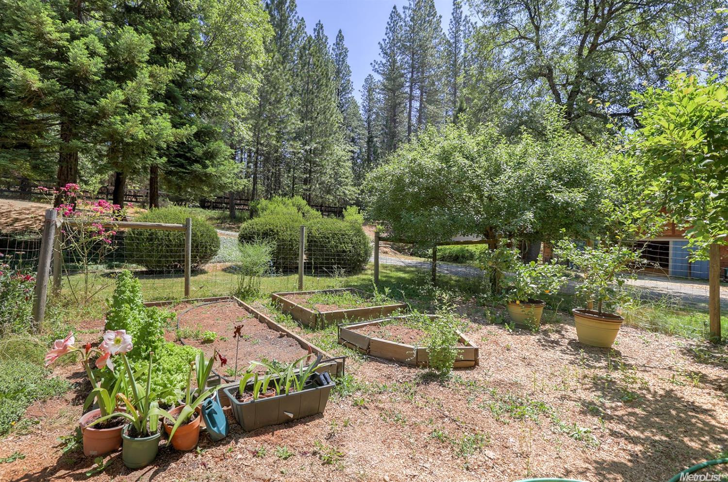 13655 Khalid Ct, Grass Valley, CA 95949 photo 22