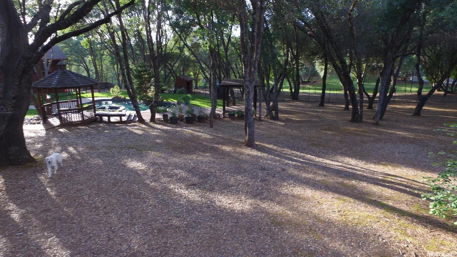 1721 Red Fox Rd, Placerville, CA 95667 photo 23