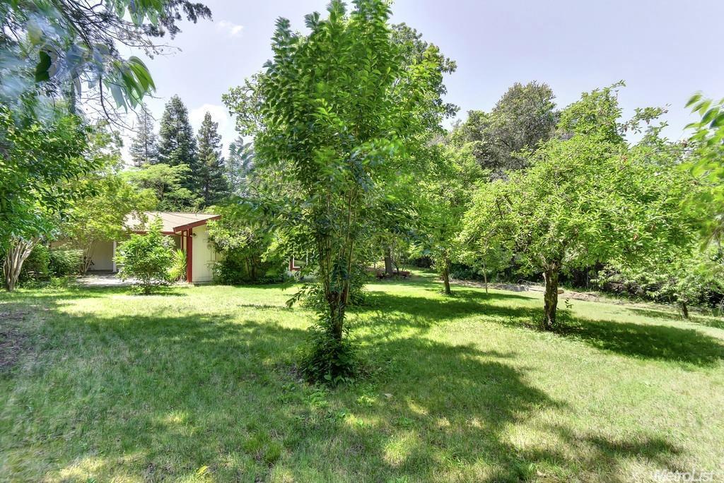 5949 Dollar Ln, Carmichael, CA 95608 photo 24