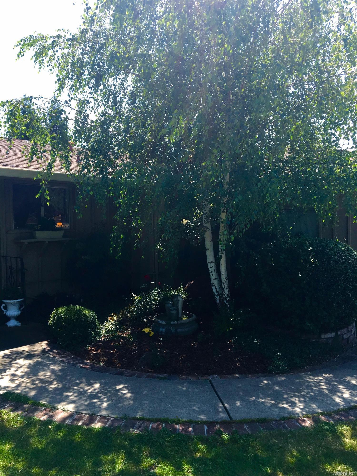 6450 Palm Ave, Carmichael, CA 95608 photo 22