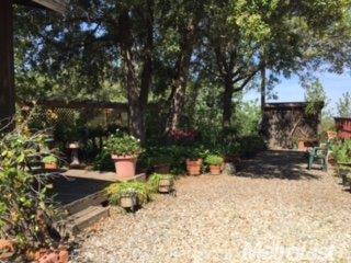 5754 Darby Ln, Murphys, CA 95247 photo 12