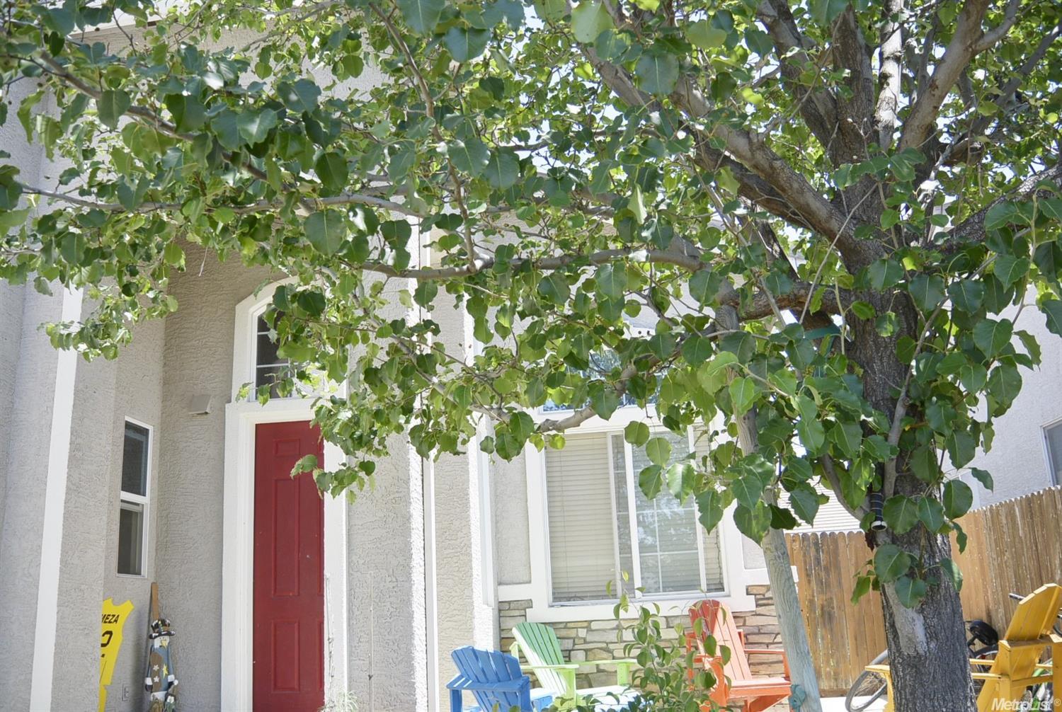 731 Mallard, Williams, CA 95987 photo 2