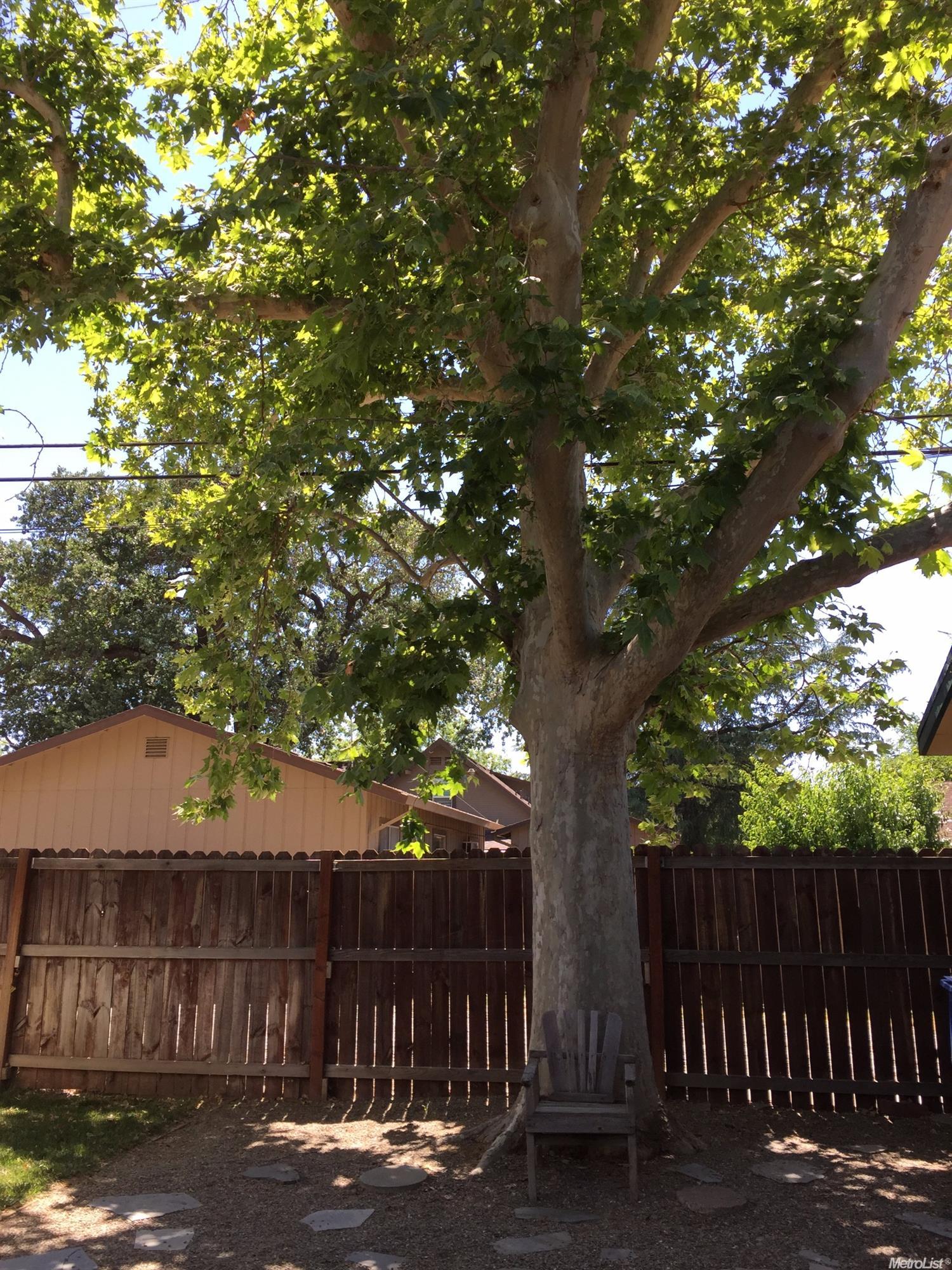 325 J St, Patterson, CA 95363 photo 21