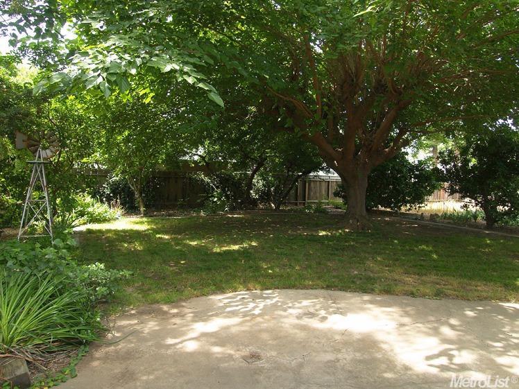 1508 Crestview Dr, Modesto, CA 95355 photo 24