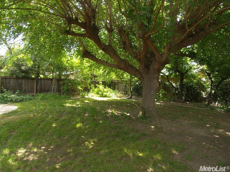 1508 Crestview Dr, Modesto, CA 95355 photo 23