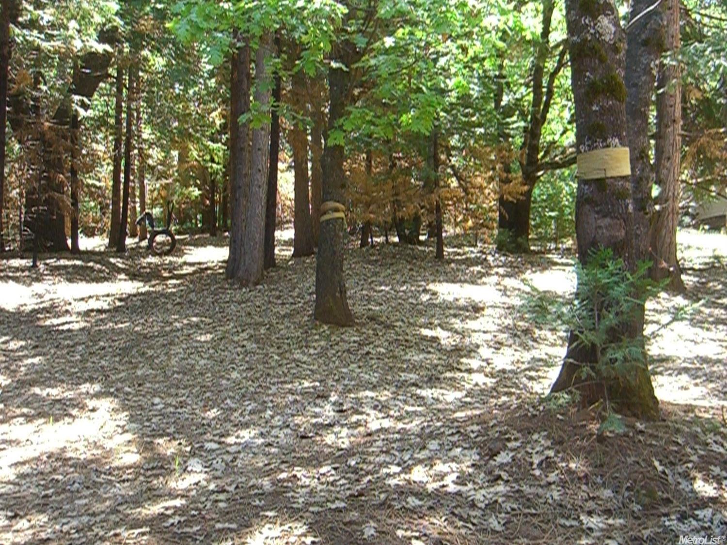 24255 Oxbow Ln, Sonora, CA 95370 photo 6