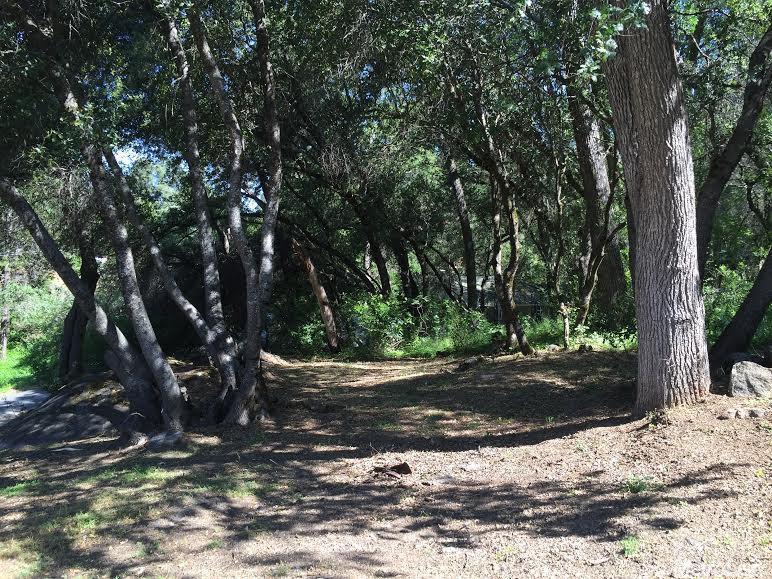 19027 Andra Dr, Sonora, CA 95370 photo 8