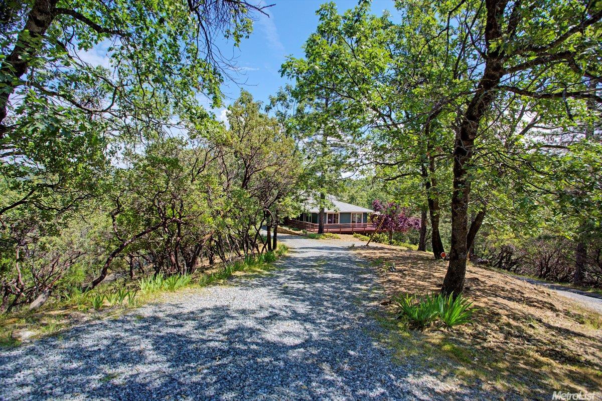 3020 Cedar Oak Ct, Placerville, CA 95667 photo 3