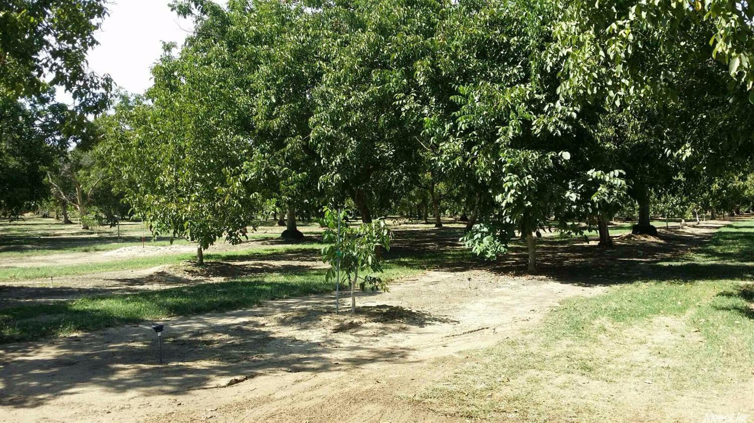 873 Geer Rd, Modesto, CA 95357 photo 3