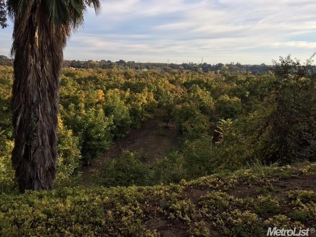 873 Geer Rd, Modesto, CA 95357 photo 17