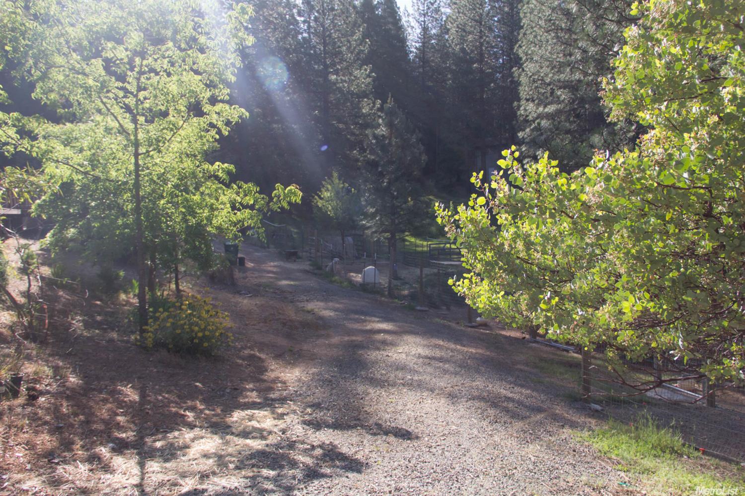 6161 Red Robin Rd, Placerville, CA 95667 photo 11