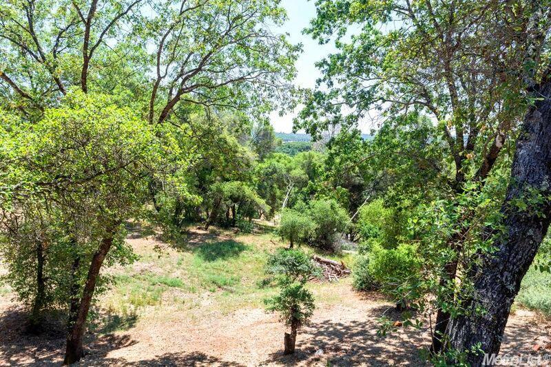 4809 Pine Tree Ct, Pilot Hill, CA 95664 photo 25