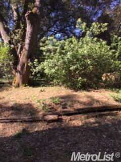 2796 Kenneth, Placerville, CA 95667 photo 14