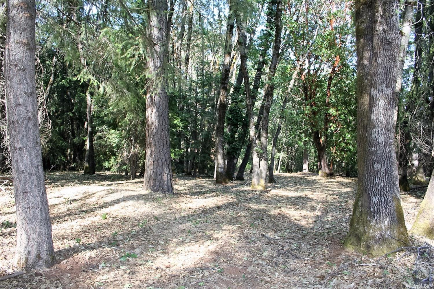 5177 Crestline Dr, Foresthill, CA 95631 photo 14