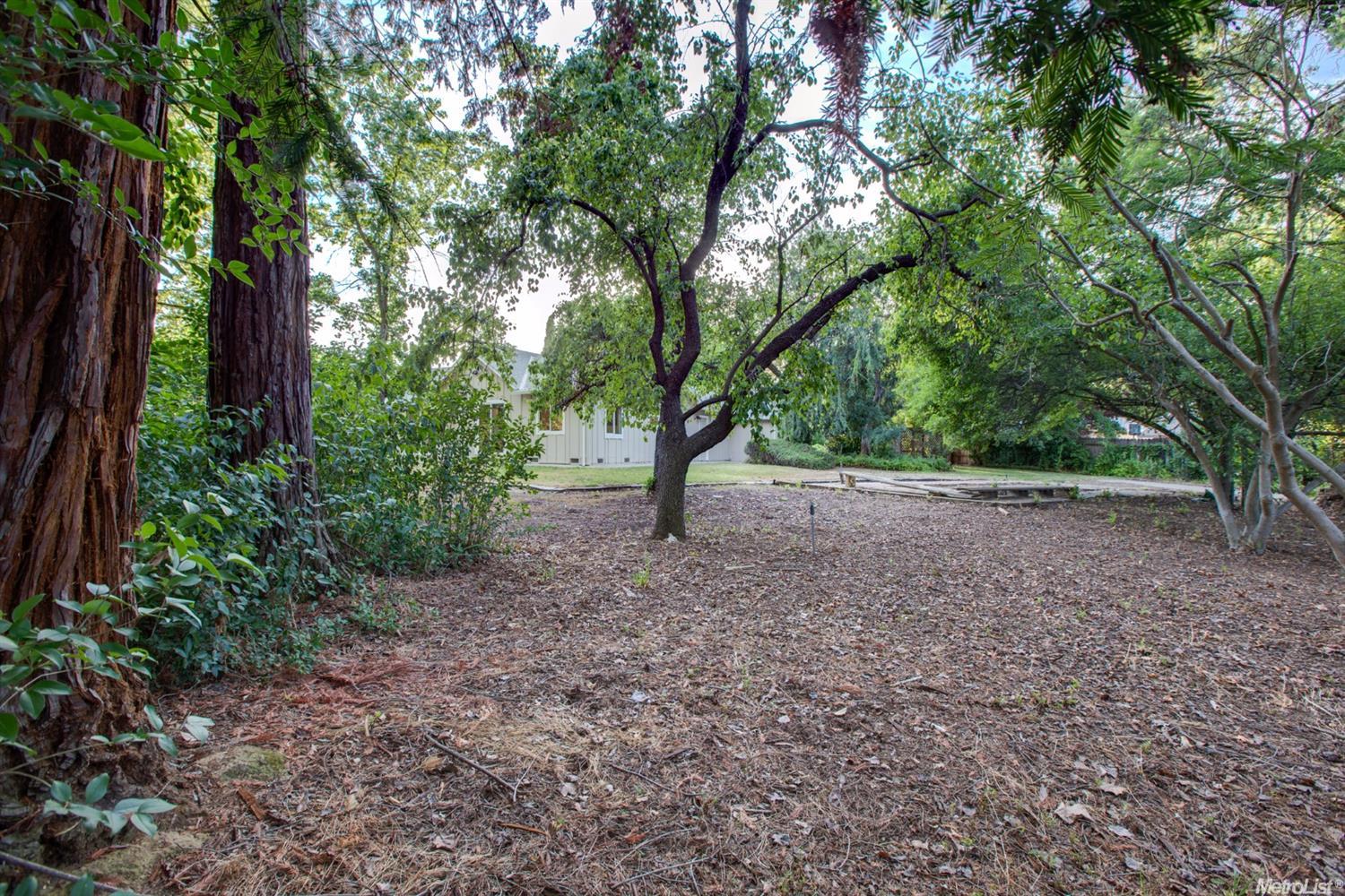 5553 Barbara Way, Carmichael, CA 95608 photo 22