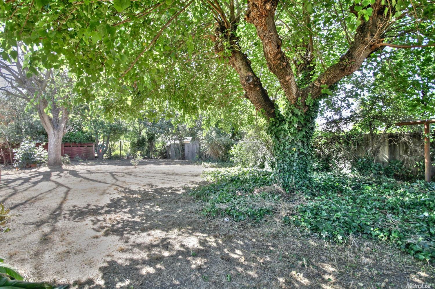 1527 Tulane, Davis, CA 95616 photo 24